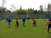 libertasrapid007042.jpg